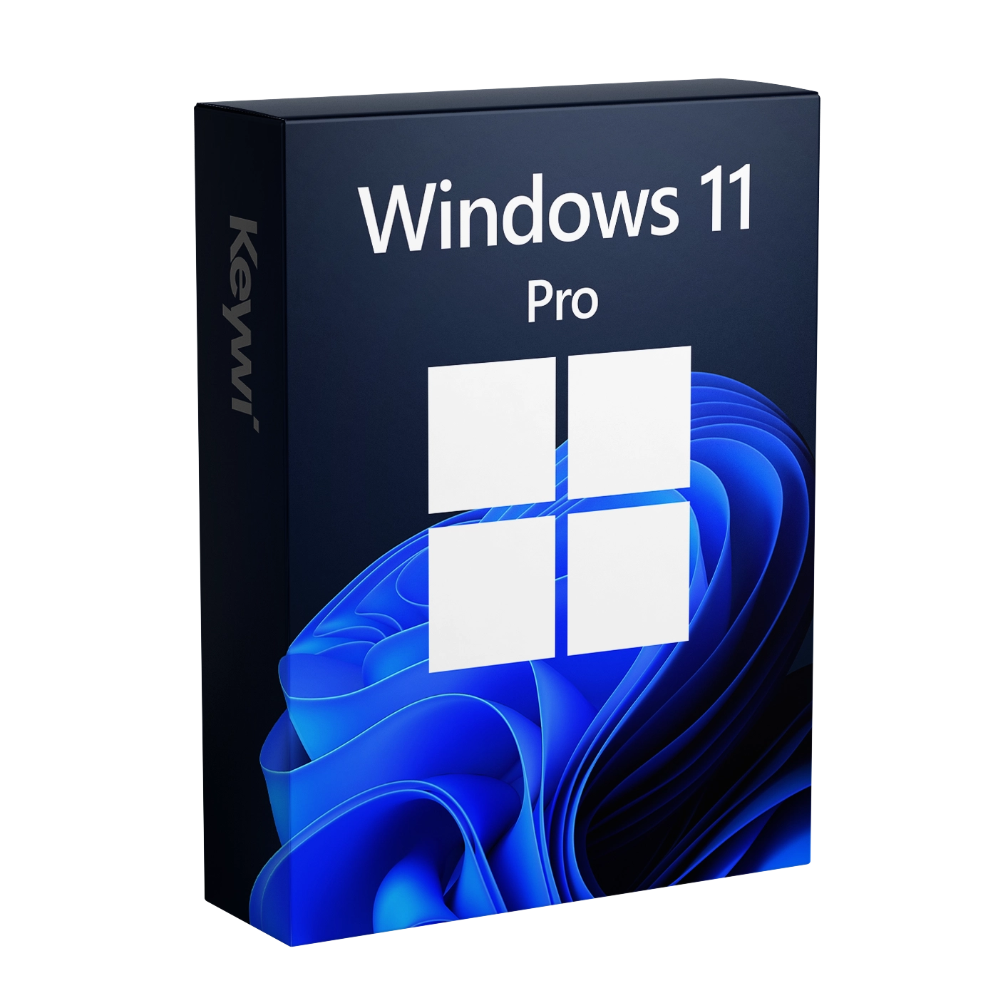 Windows 11 Pro